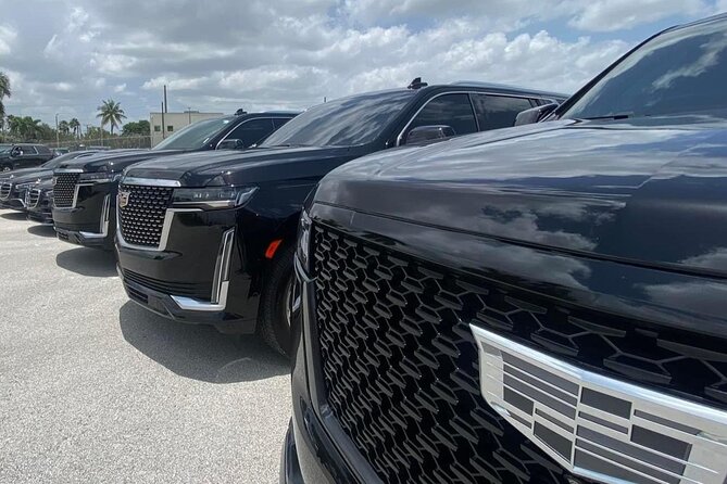 Luxury Transfer From Port of Miami to Miami and Fort Lauderdale - From Port of Miami to Airport, Without the Post-Cruise Stress