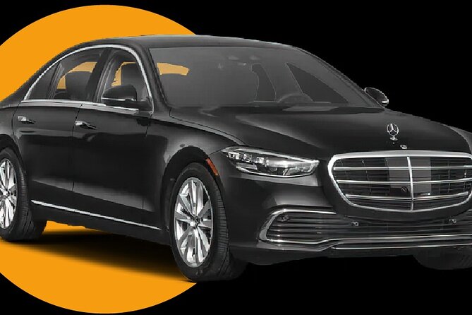 Luxury Transfer From Port of Miami to Miami and Fort Lauderdale - Who This Transfer Works Best For