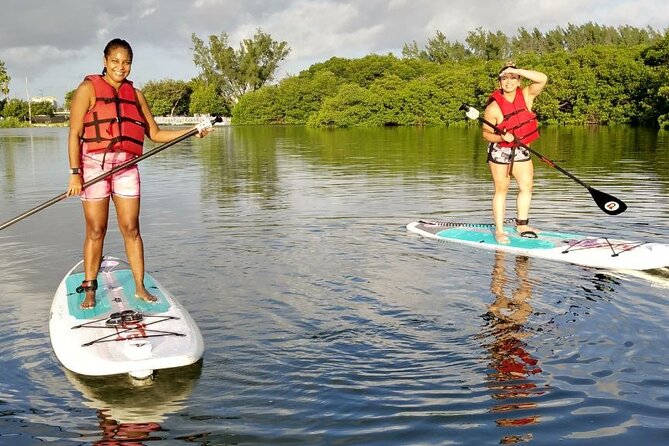 Manatee Season Guided Paddle Tour from Virginia Key - Wildlife and Stops: Skyline Views, Mangroves, and Quiet Moments