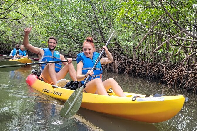 Mangrove Jungle Exploration on SUP/Kayak - Where This Mangrove Paddle Starts in Miami Beach