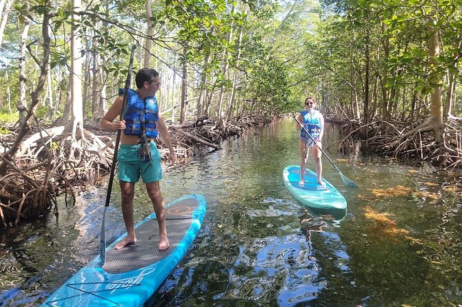 Mangrove Jungle Exploration on SUP/Kayak - Comfort and Safety Tips That Matter More Than You Think