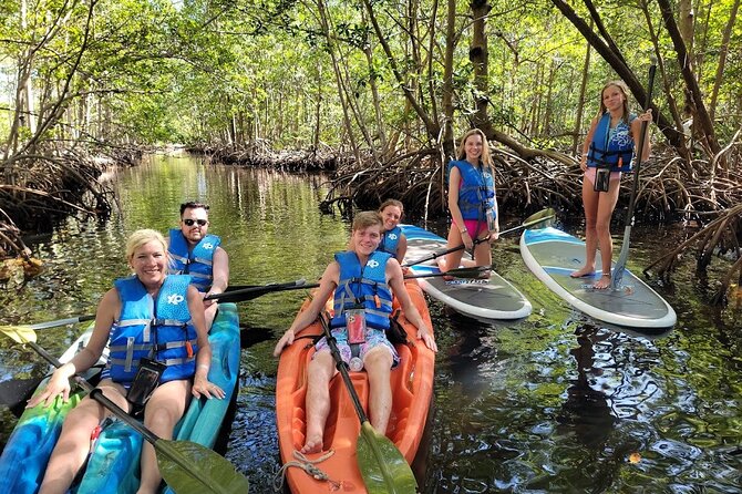 Mangrove Jungle Exploration on SUP/Kayak - Price and Value: Is $99 Worth It?