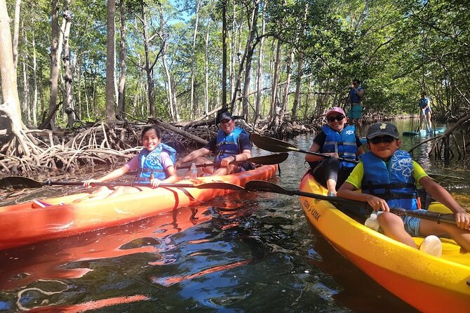 Mangrove Jungle Exploration on SUP/Kayak - Kayak or SUP in Miami’s Mangrove Jungle: What the 3 Hours Feels Like