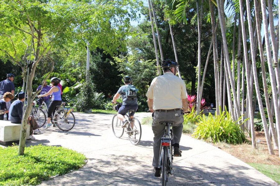 Miami: 2-Hour Art Deco Bike Tour - North Along Lincoln Road and Flamingo Park, Plus a Serious Pause