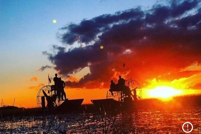 Miami: 60 Minute Private Everglades Airboat Ride - Wildlife Viewing That Feels Thoughtful: Gators, Birds, Fish, and Rare Plants