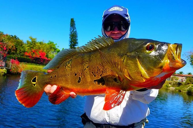 Miami Airport Lakes Peacock Bass Fishing Trip (1 to 4 ppl) - Key Things You’ll Care About