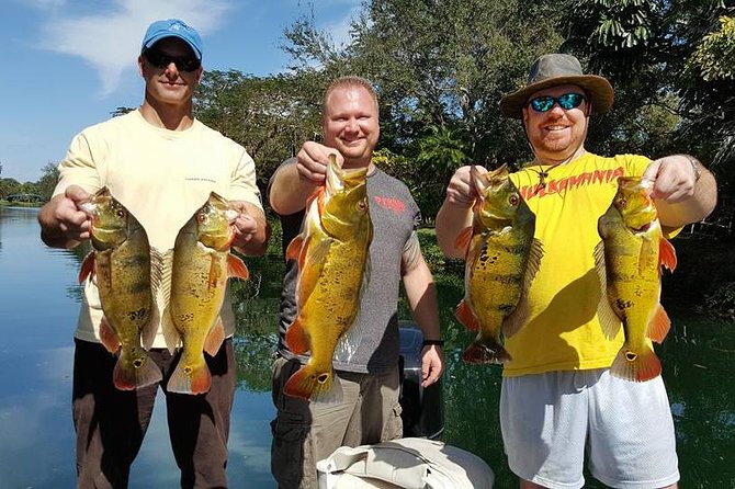 Miami Airport Lakes Peacock Bass Fishing Trip (1 to 4 ppl) - Miami Airport Lakes Peacock Bass: Why This Setup Works