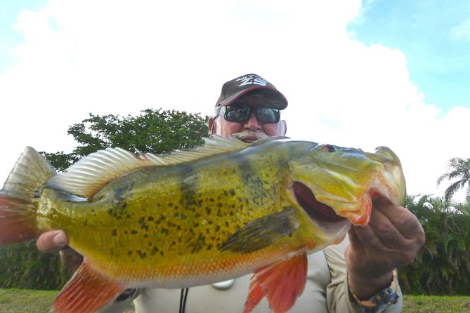 Miami Airport Lakes Peacock Bass Fishing Trip (1 to 4 ppl) - The Boat, the Captain, and What You Do Not Have to Worry About