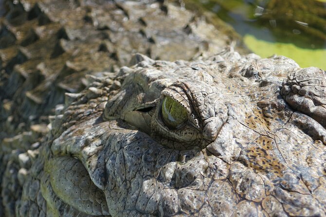 Miami and Everglades Adventure: Airboat & Bay Cruise Combo - Biscayne Bay cruise from Bayside: skyline, Fisher Island, and Millionaire’s Row