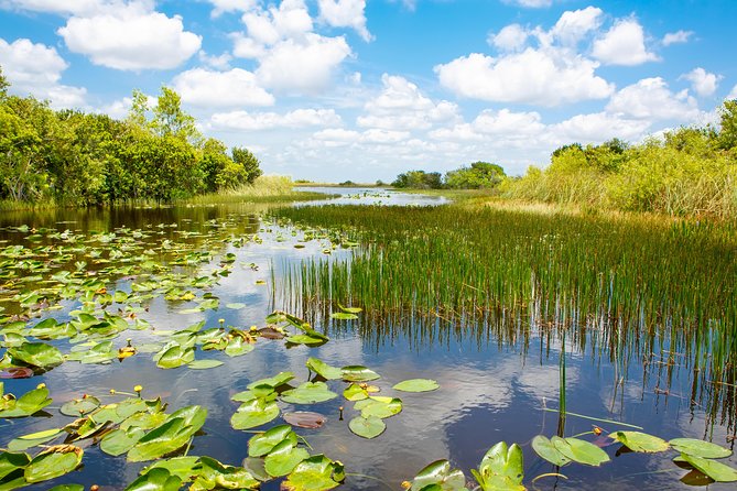 Miami and Everglades Adventure: Airboat & Bay Cruise Combo - How to make the schedule work for you (not against you)