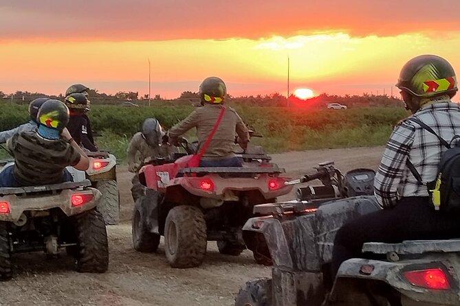Miami ATV- Night & Day TOURS, BEST ATV IN MIAMI - Pace And Group Experience: The Upside And The Tradeoffs