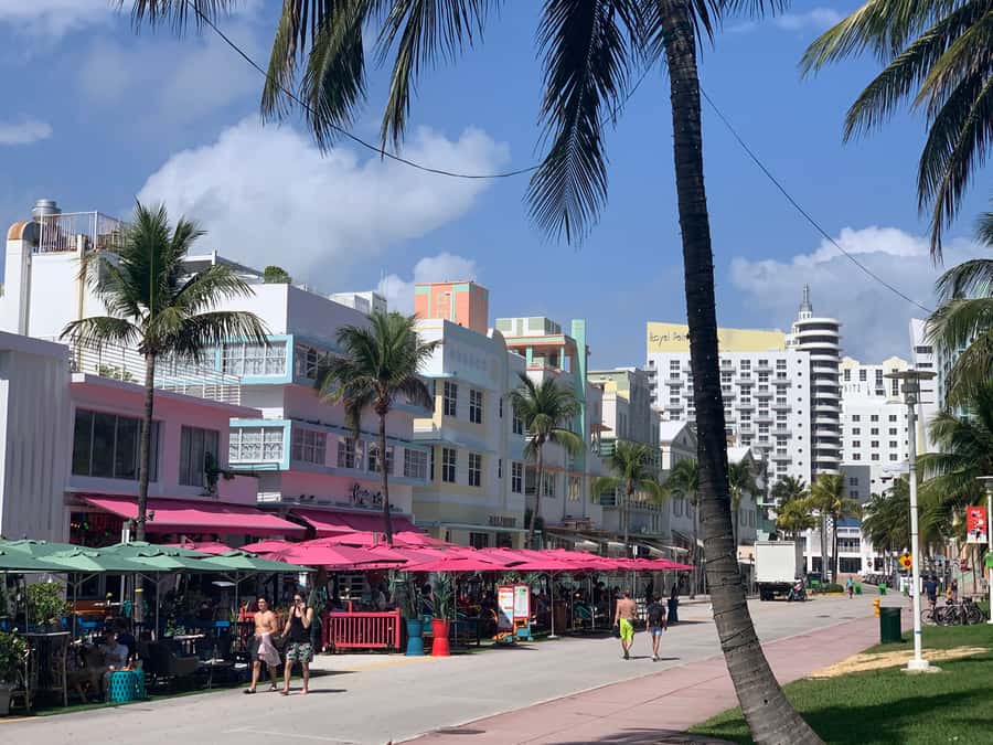 Miami Beach: 1-Hour Segway Glide - Meeting up on South Beach: go early and wear the right gear