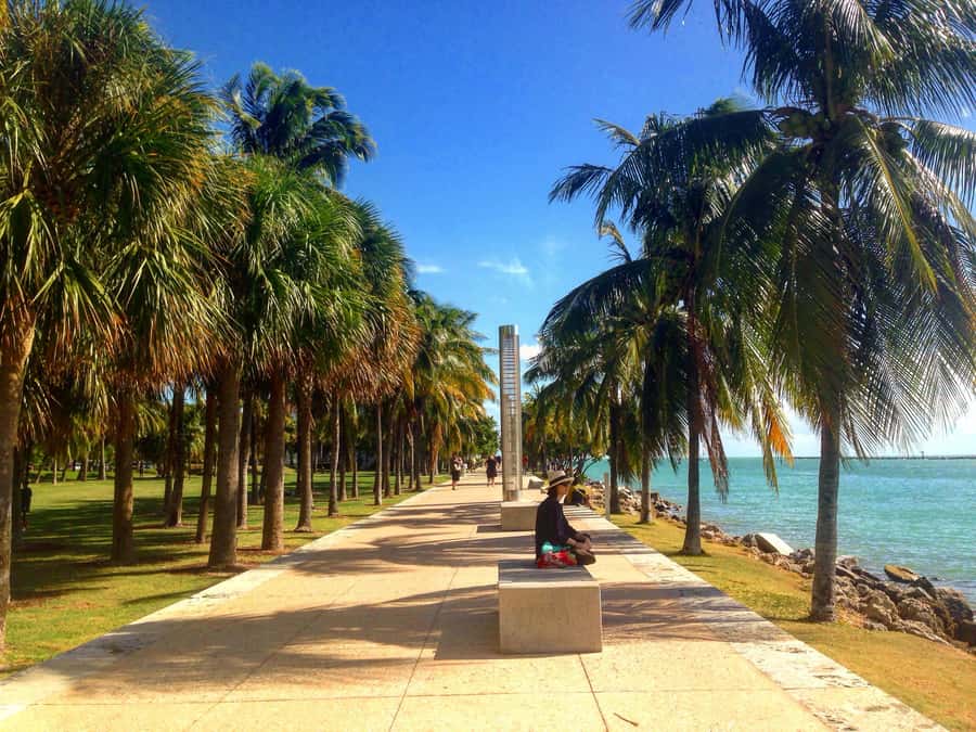 Miami Beach: 1-Hour Segway Glide - Museum and park district stops, plus quiet roads with modern flair
