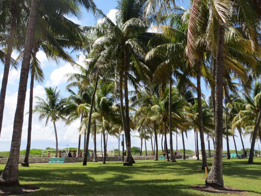 Miami Beach: 1-Hour Segway Glide - Small group dynamics: how it changes the ride