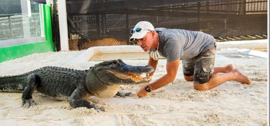 Miami Beach: Everglades Airboat Tours and Rides - Key things to know before you go