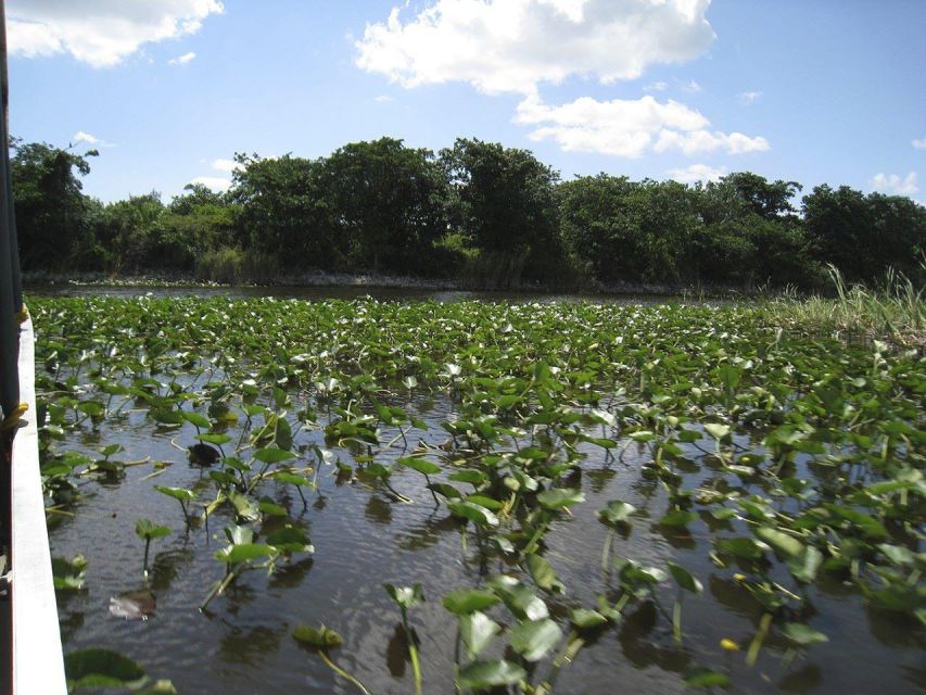 Miami Beach: Everglades Airboat Tours and Rides - The live alligator presentation, group picture, and guide energy