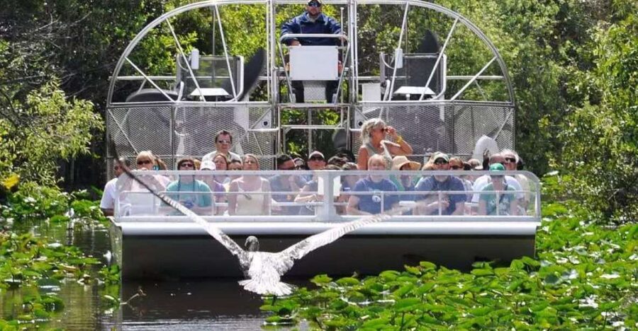 Miami Beach: Everglades Airboat Tours and Rides - Using the free time onsite without feeling rushed