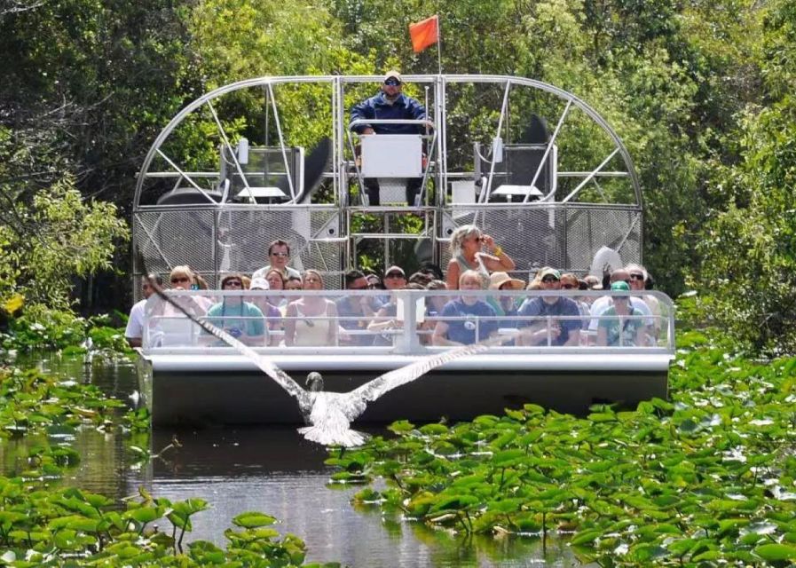 Miami Beach: Everglades Airboat Tours and Rides - Who this Everglades airboat tour suits best