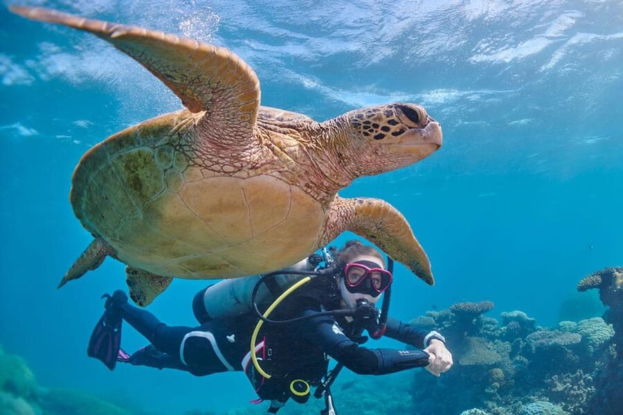 Miami Beach: Guided 2-Tank Reef and Wreck Dive Trip - The Crew Style: Organized, Calm, and Personal