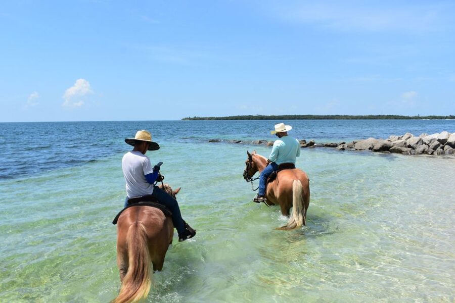 Miami: Beach Horse Ride & Nature Trail - Virginia Key Beach Park in One Hour, No Guesswork Needed