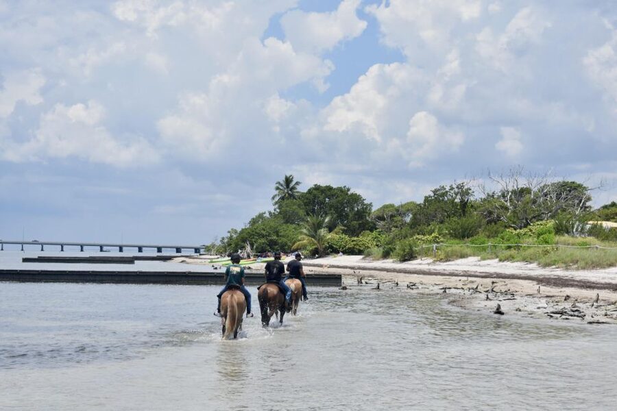 Miami: Beach Horse Ride & Nature Trail - Meet the Ranch, Get Your Helmet, and Start With Calm Instructions