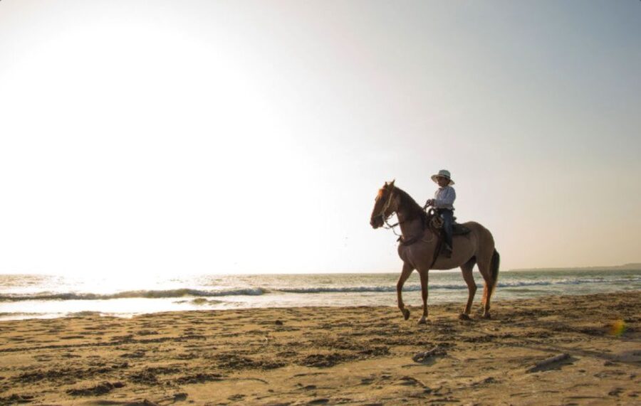 Miami: Beach Horse Ride & Nature Trail - Nature Trail Through Virginia Key Beach Park, Plus Wildlife and History Stops