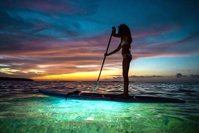 Miami Beach: Illuminated Sunset Paddleboard Tour - Key highlights to know before you go