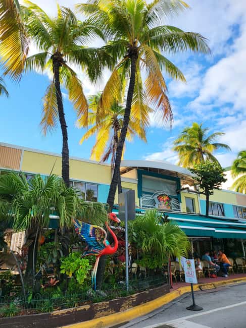 Miami Beach/ Miami: private city tour - Transport comfort, guide style, and why clean vehicles matter