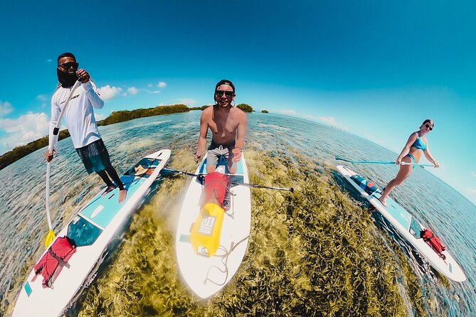 Miami Beach Paddleboard Rental with Instruction - Choosing morning or afternoon, and why timing matters