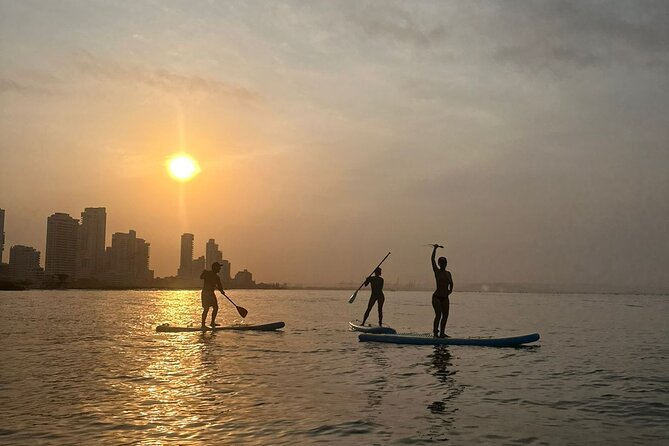 Miami Beach Paddleboard Rental with Instruction - Safety gear and the real swim requirement