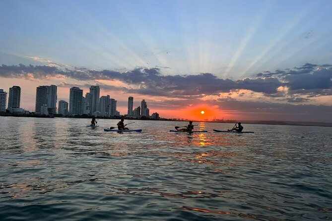 Miami Beach Paddleboard Rental with Instruction - The one risk worth planning around