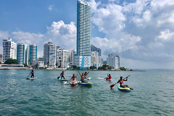 Miami Beach Paddleboard Rental with Instruction - Who should book this paddleboard rental