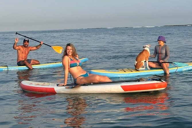 Miami Beach Paddleboard Rental with Instruction - The lesson that makes this beginner friendly