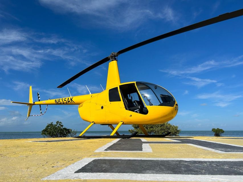 Miami Beach: Sightseeing Helicopter Tour - Helicopter vs. Boat Cruise vs. Bus and Hop-On Hop-Off
