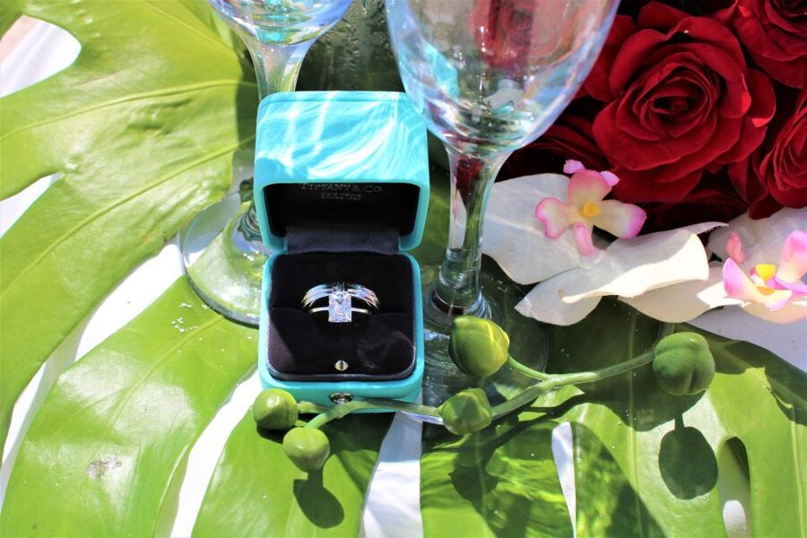 Miami: Beach Wedding or Renewal of Vows - English or German officiant, and how personal your vows can feel
