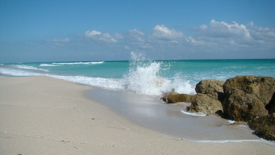 Miami: Beach Wedding or Renewal of Vows - Price and value, how $399 per group really adds up