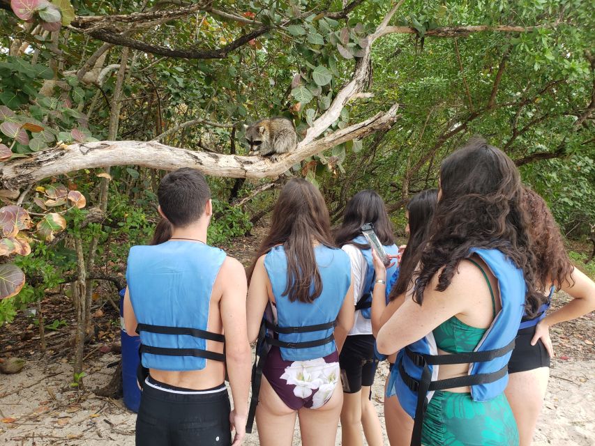 Miami: Beginner-Friendly Island Snorkeling by SUP or Kayak - Key Highlights You Should Care About