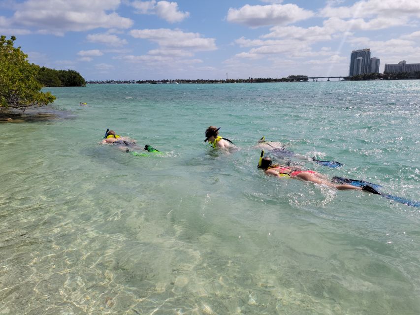 Miami: Beginner-Friendly Island Snorkeling by SUP or Kayak - Drinks and Fresh Fruit: A Simple Perk That Makes the Day Feel Complete