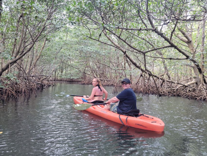 Miami: Beginner-Friendly Island Snorkeling by SUP or Kayak - Why This Miami SUP or Kayak Snorkel Day Makes Sense