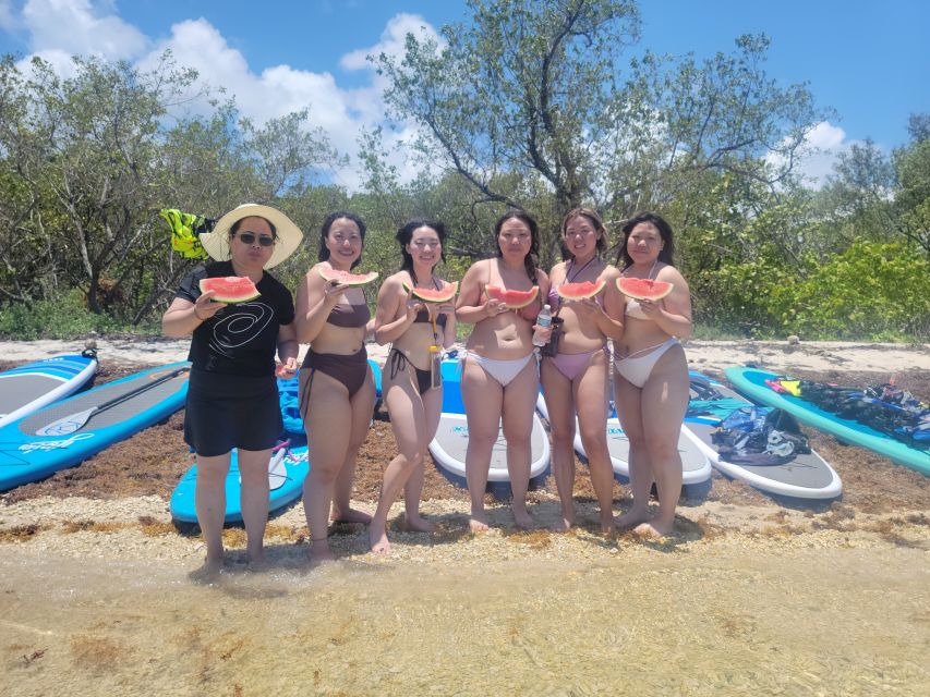 Miami: Beginner-Friendly Island Snorkeling by SUP or Kayak - Paddling Through Mangroves: The Scenery Part You Will Remember