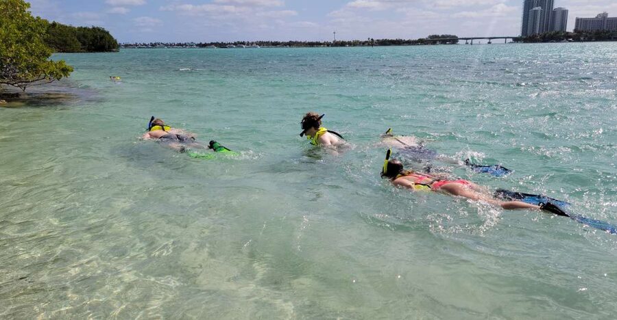 Miami: Beginner-Friendly Island Snorkeling by SUP or Kayak - The Boat Ride to Sandspur Island, Where the Water Gets Shallow