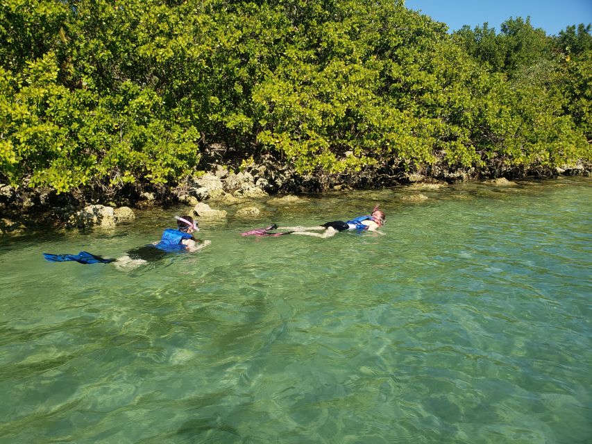 Miami: Beginner-Friendly Island Snorkeling by SUP or Kayak - Meeting at Bill Bird Marina, Finding the Right Dock, Starting On Time