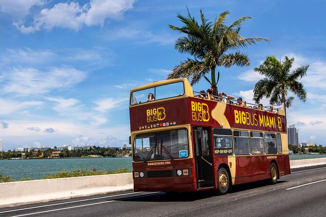 Miami Best Of Combo: Everglades, Bay Cruise, & Open-top Bus Tour - How This Miami Combo Fits One Tight Day