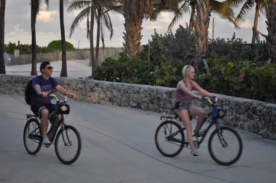 Miami: Bike Rental - Lummus Park Promenade: Ocean Views With Easy Stops
