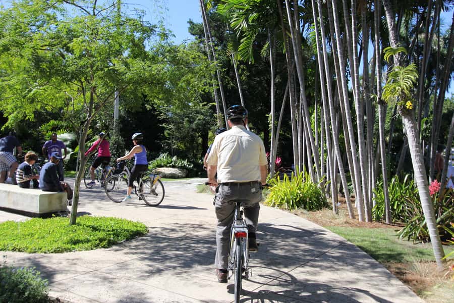 Miami: Bike Rental - Free Stops That Make Your Day Feel Richer