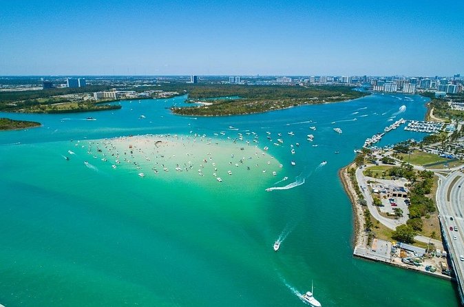 Miami Biscayne Bay Boat Tour with Sandbar Experience. - Wildlife spotting: how to actually see dolphins, manatees, and birds