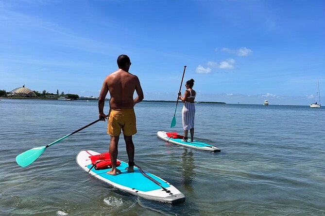 Miami Biscayne Bay Paddle - What you get for $80, and why it feels fair