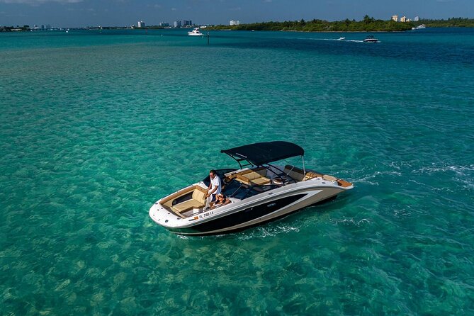 Miami Biscayne Bay Private Boat Experience with Captain - Haulover Beach Park, the sandbar hour, and why dolphins matter