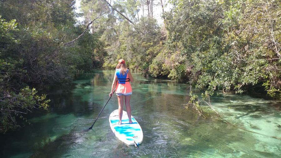 Miami: Biscayne Bay Ultimate Boat Tour with Kayak Experience - Quick hits to decide fast