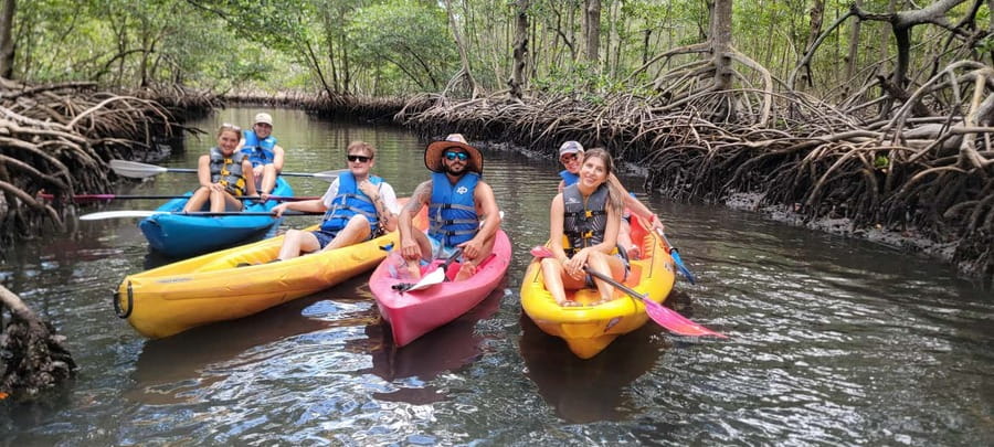 Miami: Biscayne Bay Ultimate Boat Tour with Kayak Experience - Sandspur Island to mangrove tunnels: where the day turns active